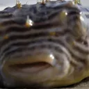 swmmp's avatar